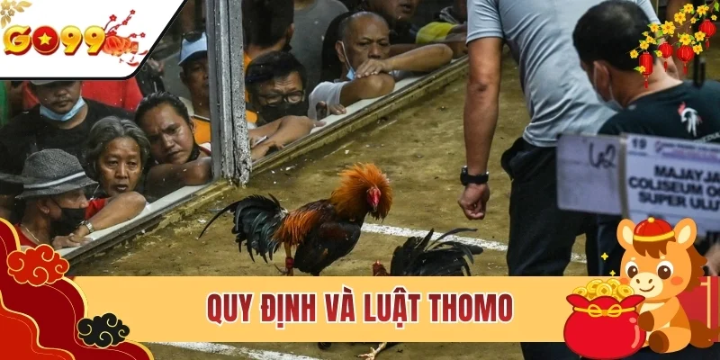 Quy định và luật đá Thomo